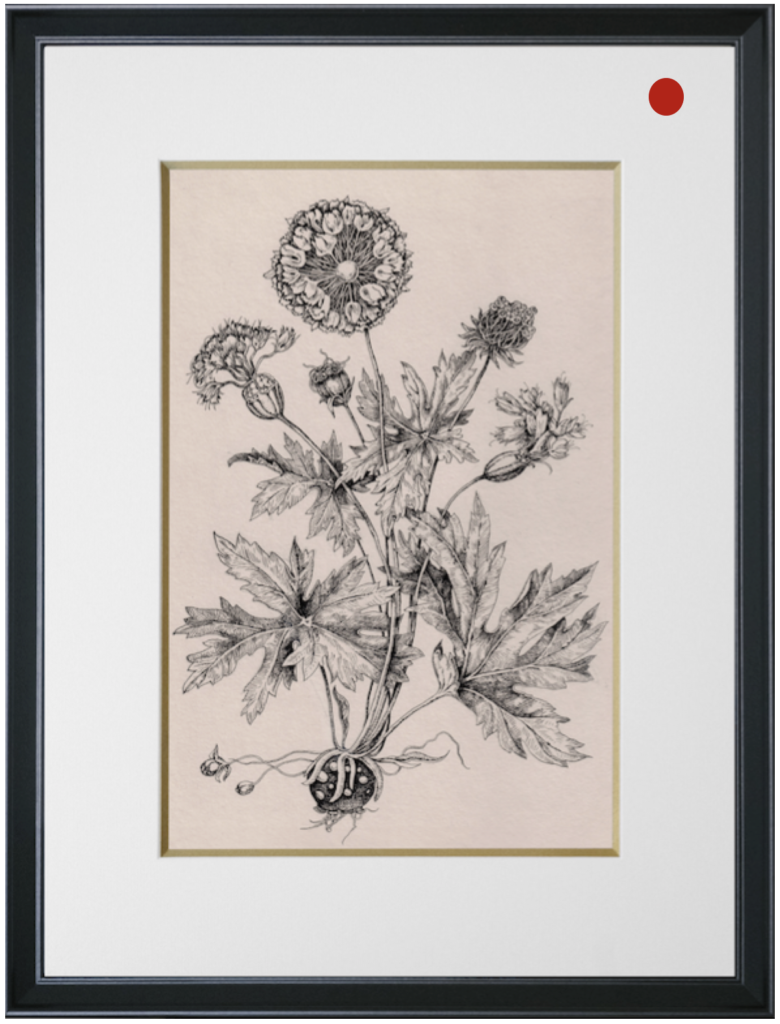 Laublin, Ascension Lunaire Le Cloitre de l'Art Elen BEZHEN, plantes