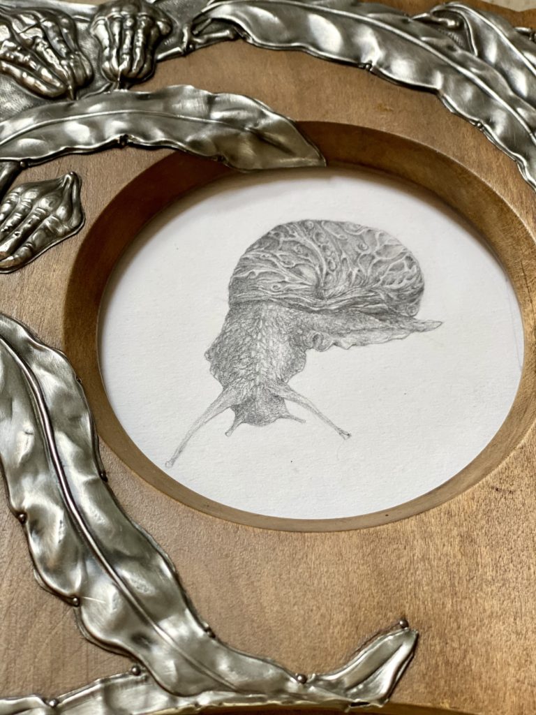 escargot 