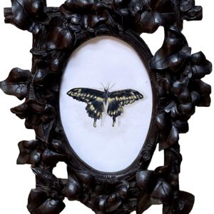 Marielle Brie - Papillon
