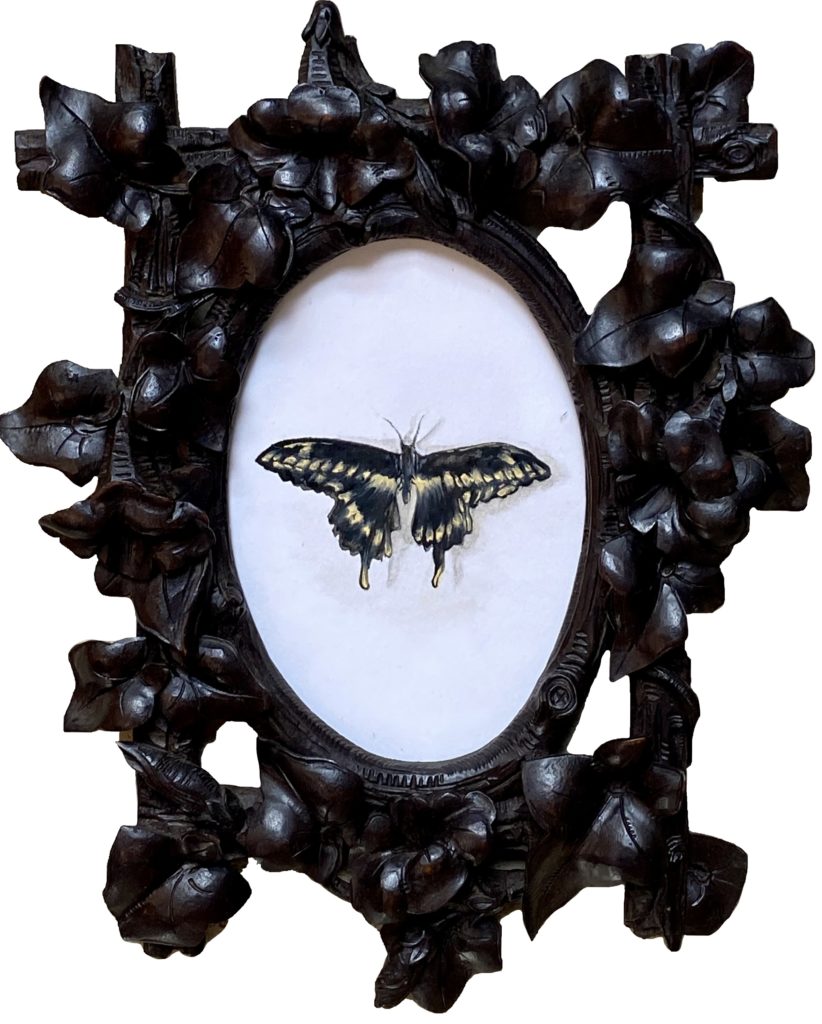 Marielle Brie - Papillon