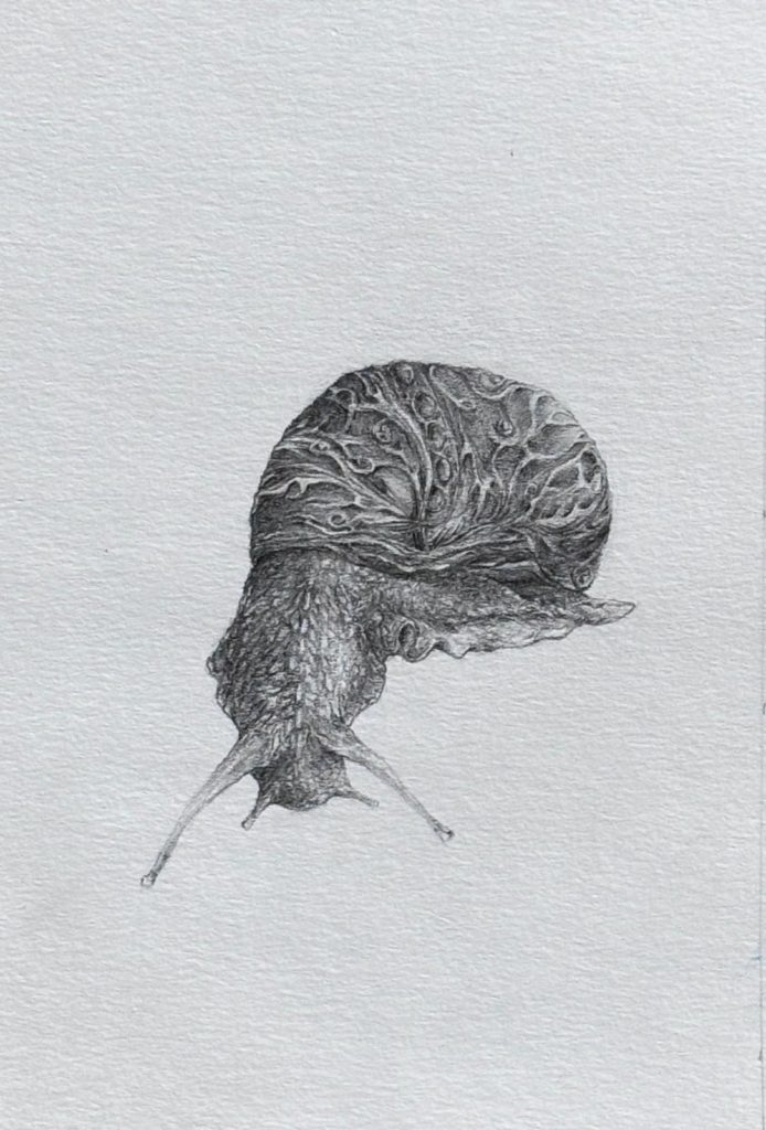 Le Cloitre de l'Art